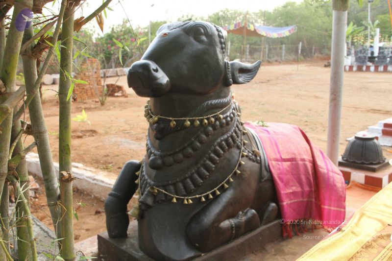 File:20150505 Photo 1024 1NKmib3r S3Z 7NrLrP8ERmpjrqYDZjdg.JPG