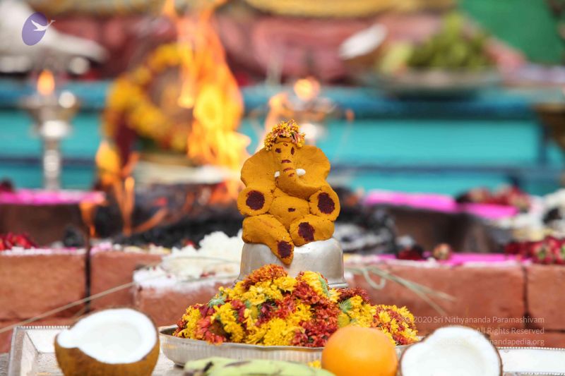 File:20150505 Photo 1028 1UDUzid8gnID8VWTKU35xTQxtCaoa6PbF.JPG