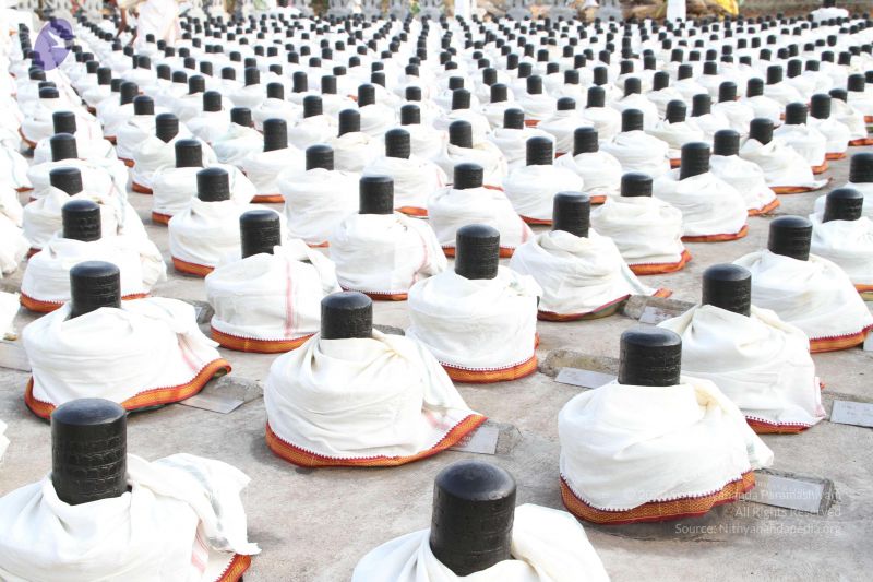 File:20150505 Photo 1035 1XJh5W2lqvwMYhO2mIU4b1fhldGZCdyFg.JPG