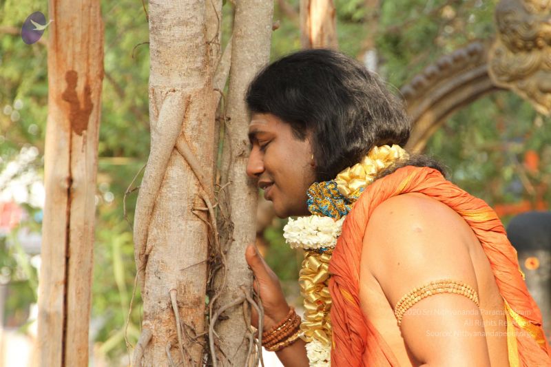 File:20150505 Photo 1043 1-Id9J4rMb8QDpUI1kOKGQslPprddoxRW.JPG