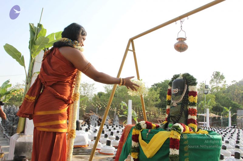 File:20150505 Photo 1049 1ZLnU-EiZnyeLmFGs7h5FSc8mVMvoTUNJ.JPG