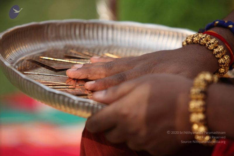 File:20150505 Photo 1099 1Oy5mC u8K33j57zhCXglVRBxFhWhUipy.JPG