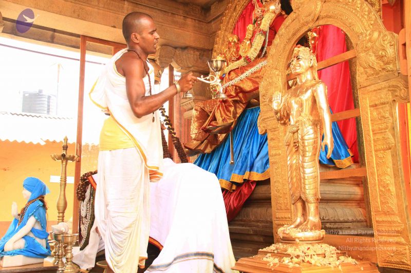 File:20150505 Photo 1114 1ib8kcBDwYfCOEE3ql50Btvx0CcZyK0Js.JPG