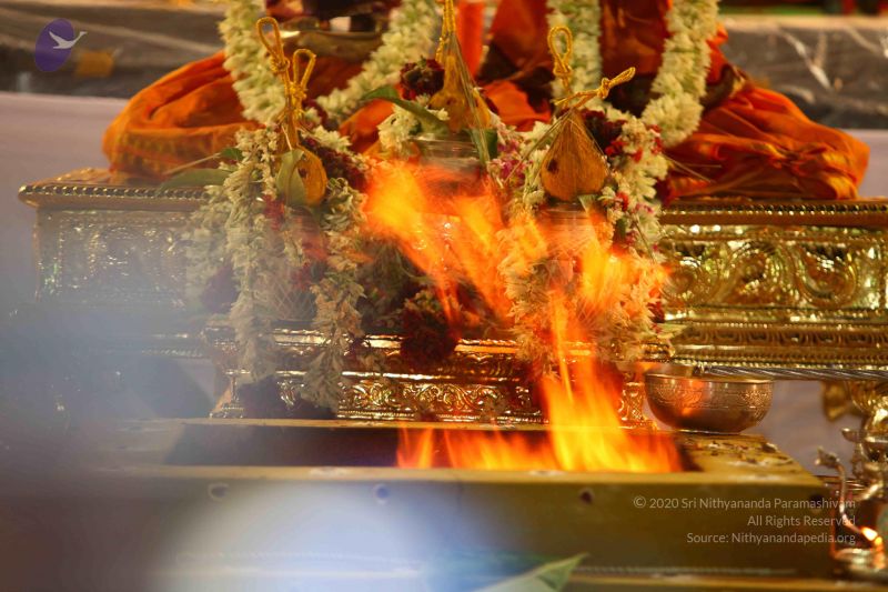 File:20150505 Photo 1127 1b6E4MgXk3NCyd02ynGz98TY6Ep8cXdJt.JPG