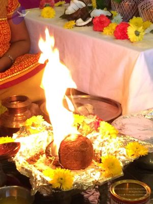 20150508 Photo 1000 1-SXg-RsyqGMJ eLqlD2rtR8RUj4KJz6R.JPG