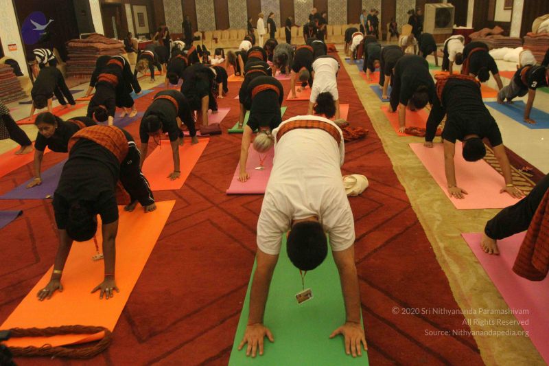 File:20150510 Photo 1001 1F Ahwhiq6tGDW0 GGy5R8tyfTL9dsjqC.JPG