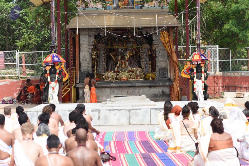 File:20150513 Photo 1960 1gKLkJCBTUxVpcP1EarOveu6GSuRZdfju.JPG