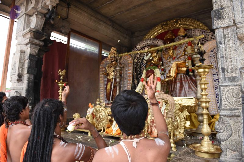 File:20150513 Photo 2006 1u9lQZTccxtd6kOhGvzk08huJ84rbjbZG.JPG