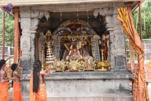 20150513 Photo 2032 1CQTMKqWl tuf0H1FL5R7GsR3Ip2 Yz4q.JPG