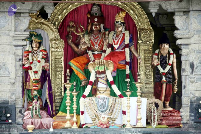 20150620IMG 0150 CMP WM01.jpg