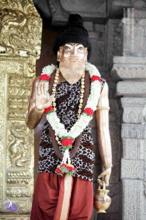 20150620IMG 0162 CMP WM01.jpg