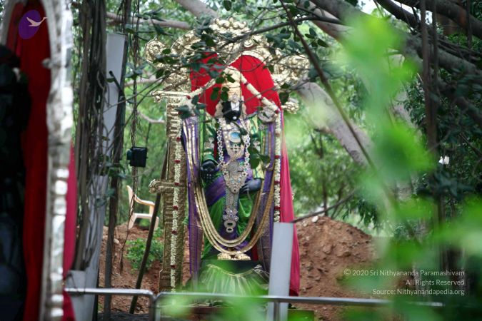 20150620IMG 0174 CMP WM01.jpg