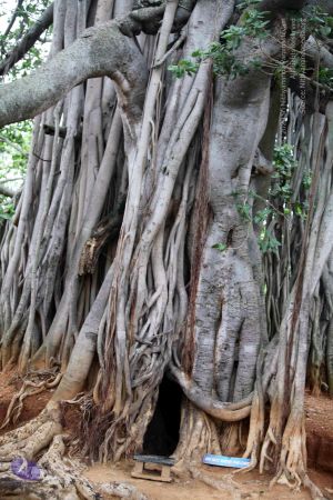 20150620IMG 0177 CMP WM01.jpg