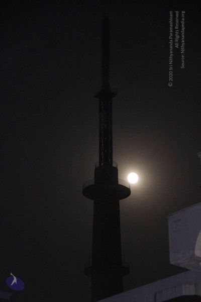 File:20150702 Photo 1072 1ys441J72eYFy7GzAmraGqNgkMrv pMFD.JPG