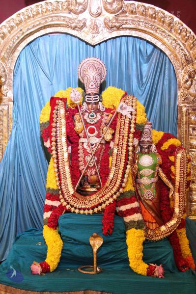 File:20150713 7886 CMP WM.jpg