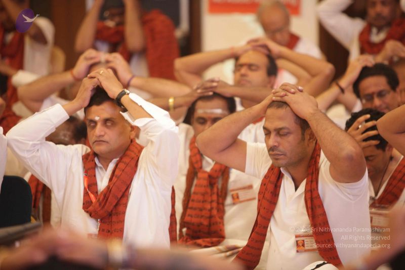 File:20150713 8022 CMP WM.jpg