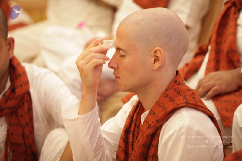 File:20150714 8366 CMP WM.jpg