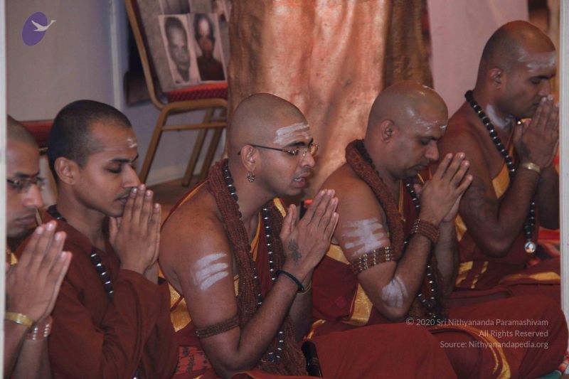 File:20150715 more 8394 CMP WM.jpg