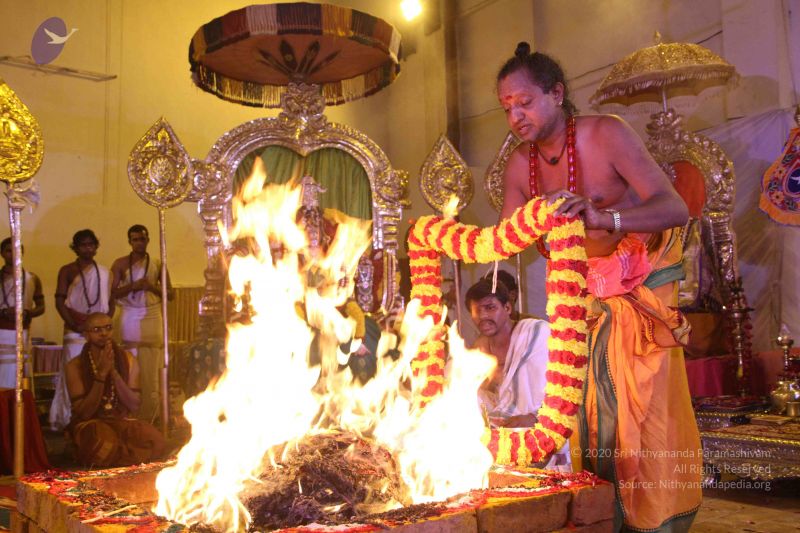 File:20150716 Photo 1405 1u1rLfTAK9KbZpRTMYLH7tAS4l247ed3w.JPG