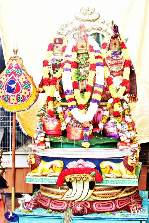 20150718 Photo 1264 19Mg7ePPli1OK10-aatasNyrQxRMDa9e9.JPG