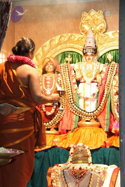 File:20150724 Photo 1003 1YhdTg4SW3e8hBMY o7gruJfhSrR0JzxJ.JPG