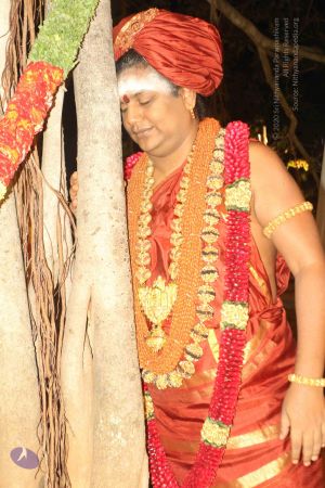 20150731 Photo 1056 1OLJfbF-ee34lQu hm8GFgWmdYW7SLV0j.JPG