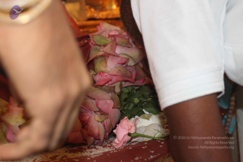 File:20150731 Photo 1650 1xn8YAOE2QT3tQYffdU-NLpxDLKcHJL2w.JPG