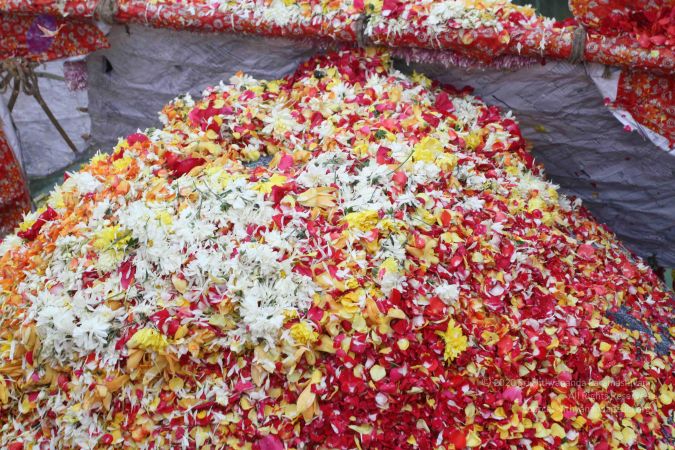 20150731 Photo 1914 1h7ACa7yR7FReDgissyDLnYJCRURxSlYW.JPG