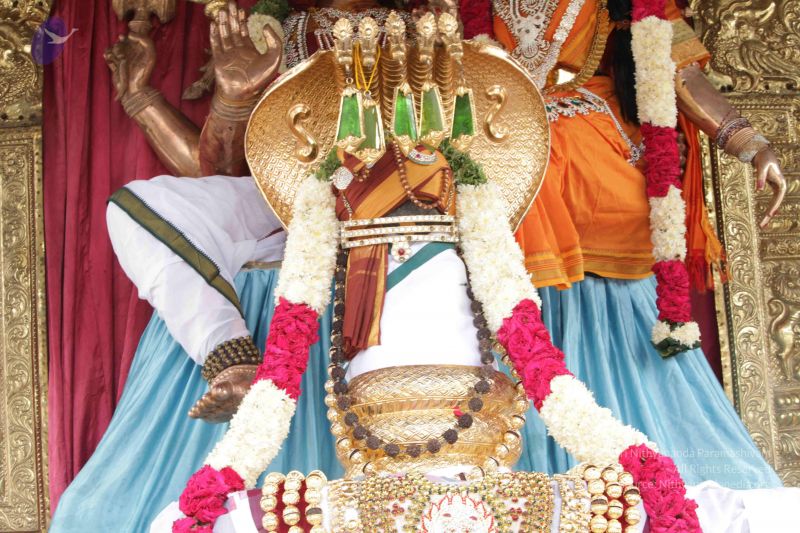 File:20150809 Photo 1101 17X8YdTmQBr5mM7Fr0vEXZRlG24PYM0Ef.JPG