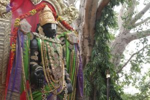 20150809 Photo 1110 15WwQuJcb42BdO0bq0Z SpvDRNKFDv29h.JPG