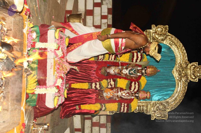 File:20150809 Photo 2677 1TFiocKyqCqRU4Um6tsYz9 hNCWAGdjUD.JPG