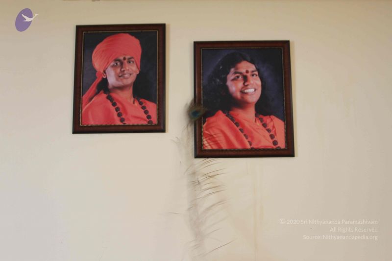 File:20150820 Photo 1012 1OF-MGuWTkPA6OTYr25m6xiL-H5eacKjl.JPG