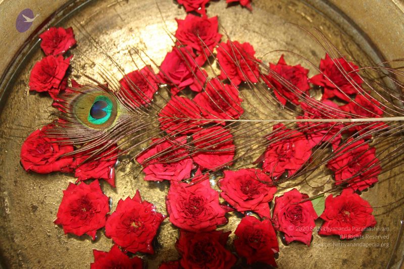 File:20150820 Photo 1017 1AK8Is0Fie~65D0ocAgEUOOh8CmdWWK2.JPG