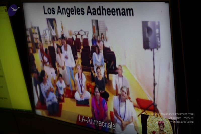 File:20150822 Photo 1045 11cFwGQoqaOt90rmy47yYkJSbd3EHUJgS.JPG