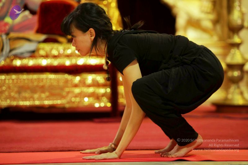 File:20150822 Photo 1265 1rJaf9v4fYvi18vnHuYOBYC1nn5HwuO9u.JPG