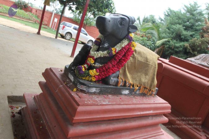 20150823 Photo 1133 1XTF1VqE2MWO S59rD6styXjzZNRNBnaW.JPG