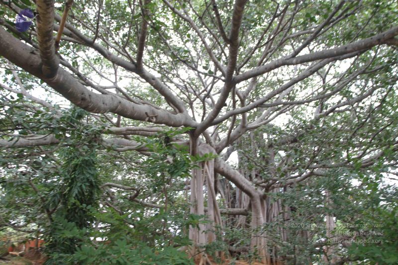 File:20150823 Photo 1162 1cBcJ5yER2uIixtjSgur0cOtW5cShvIHi.JPG