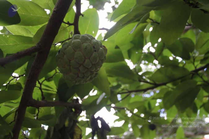 20150823 Photo 1163 13wm3qVvWC79mkPePRKc52S4SxSM8F23S.JPG