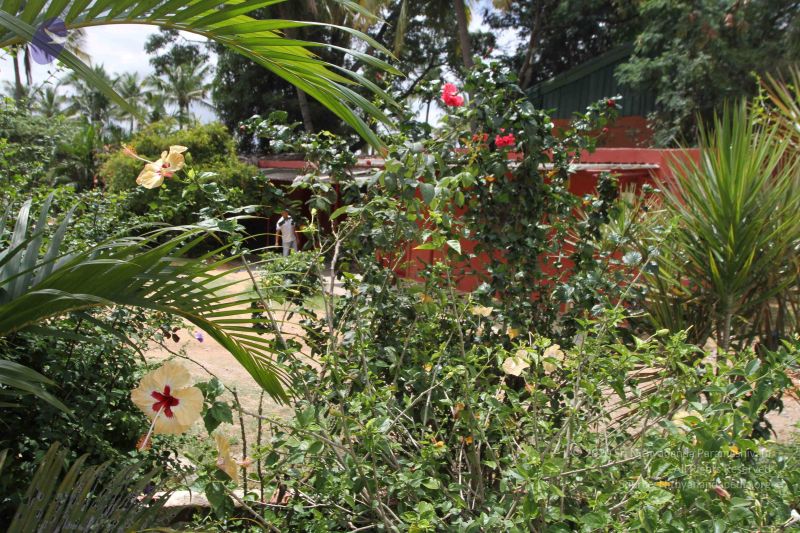 File:20150823 Photo 1184 1QT6BM5VFI9ednHNshzLHYnfC2H1vzQAo.JPG