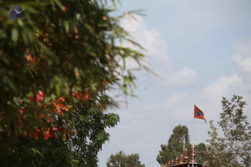 File:20150826 Photo 1002 18SnZ6geK3TjMycKVJ8gYI7jKpFIj6UZt.JPG