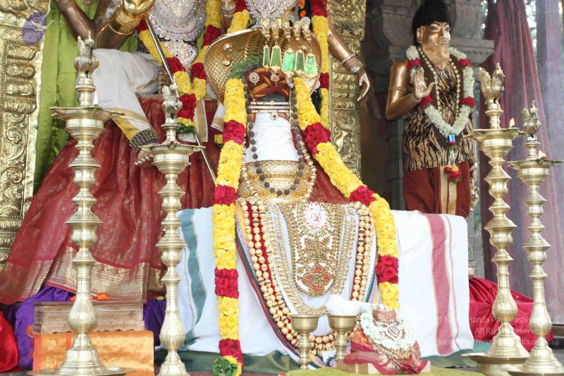 File:20150831 Photo 1038 1u1EpgEfFktpsK31Iv41AwadPthVr0eGX.JPG