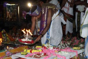 20150831 Photo 1169 1-VmeZmgk1GCMjXwfgbUfIf-zoqVwazQY.JPG