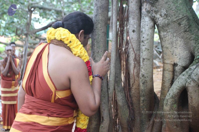 File:20150908 Photo 1012 1KQeT ASs5lqvLgJ-eVzsxJkd2sAVNZvM.JPG