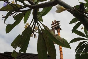 20150908 Photo 1032 1vLPQTwfmr W pKFsNVYSt9tdQrI8j13h.JPG