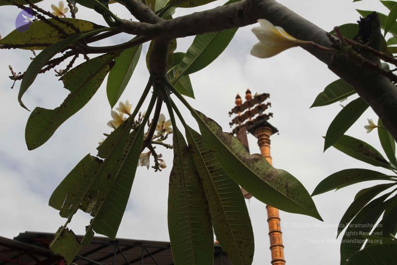 File:20150908 Photo 1032 1vLPQTwfmr W pKFsNVYSt9tdQrI8j13h.JPG