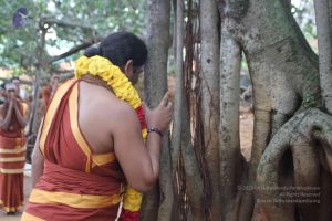 20150908 Photo 1056 1ZfYbZEhqfiZ4jqXixEm8t8cbOSmzfesm.JPG