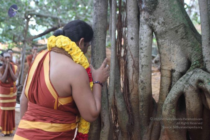 20150908 Photo 1056 1ZfYbZEhqfiZ4jqXixEm8t8cbOSmzfesm.JPG