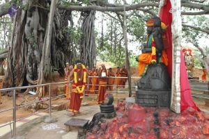 20150908 Photo 1063 1tPV2Z1JLxfhFxN2KKgccm1fhXvcqLMZw.JPG