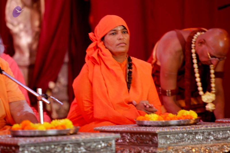 File:20150911 Photo 196 1 BFHmS0O73mNYUIrzgpm-tvJaGYINQHh.jpg