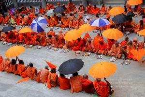 20150911 Photo 618 1qLkDmZsyFMpUsXWmPbhHTEBmtGwsM3Ec.jpg